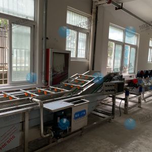 果蔬氣泡清洗機風干流水線多少錢？